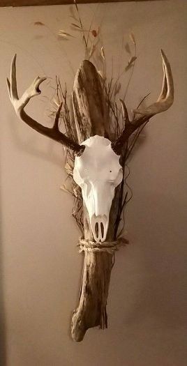 a deer skull mounted on the wall with antlers tied up to it's sides