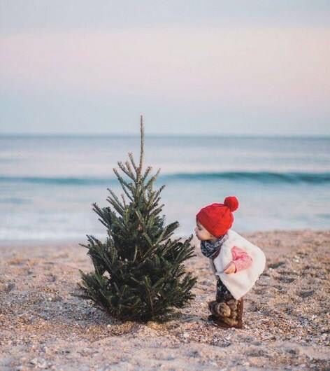 a small christmas tree sitting on top of a sandy beach