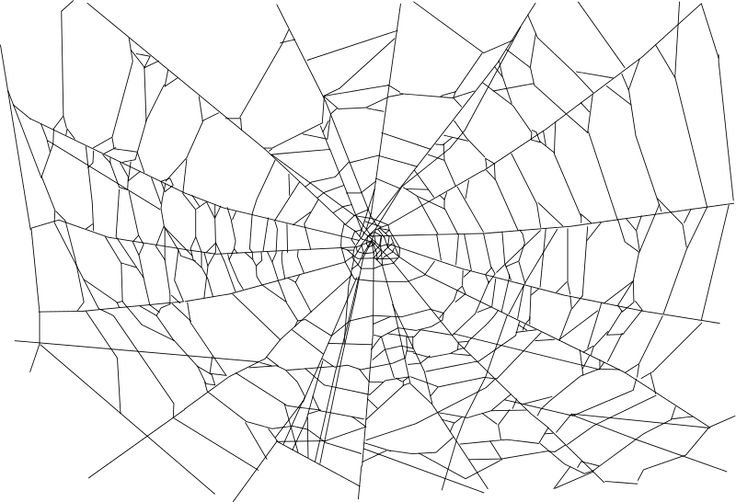 a spider web is shown in black and white