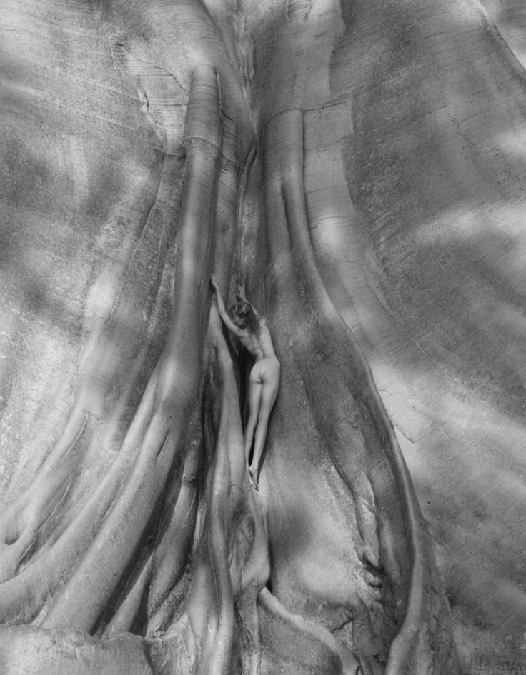 black and white photograph of tree roots with woman in the center