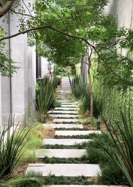 an outdoor walkway is lined with plants and trees