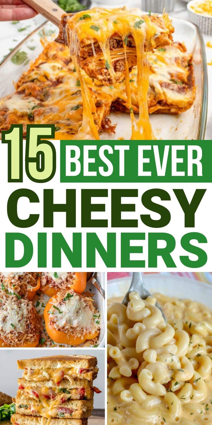 15 best ever cheesy dinners that are easy to make and delicious for the whole family