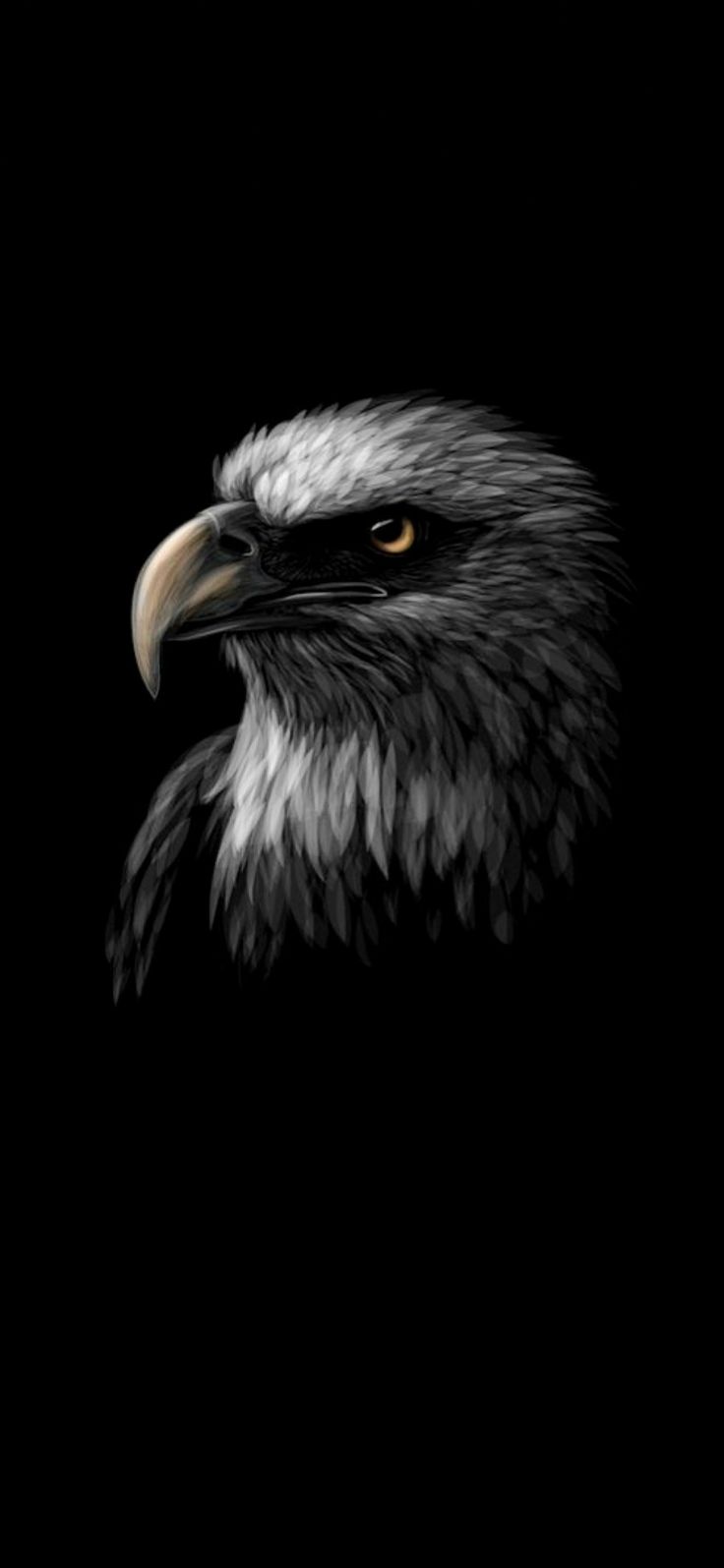 an eagle's head is shown against a black background