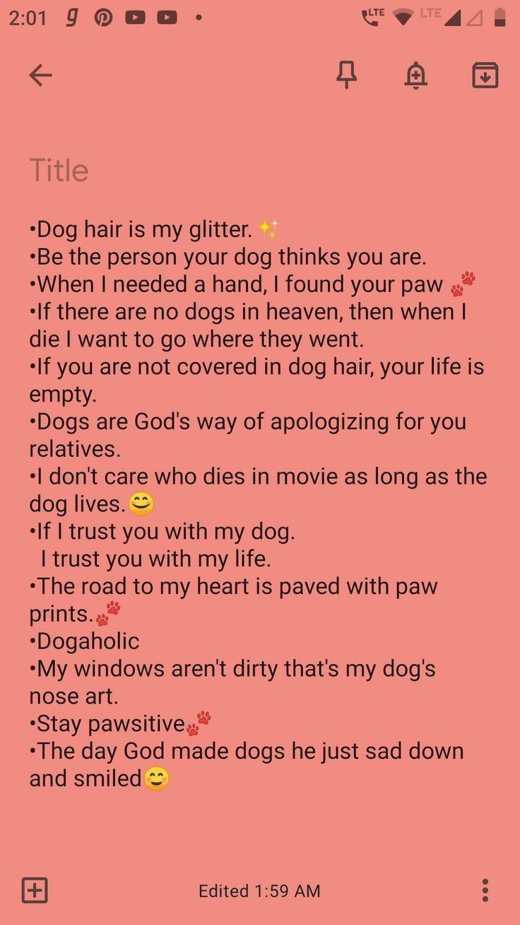 a pink screen with the text dog hair is my glitter, be the person your dog thinks you are