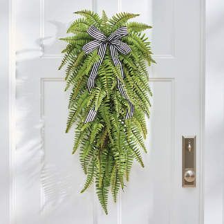 a green plant hanging from the side of a white door with a black and white bow on it