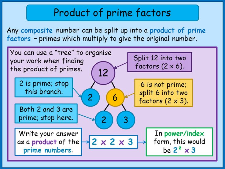 the product of prime factor numbers is shown in this graphic above it's image