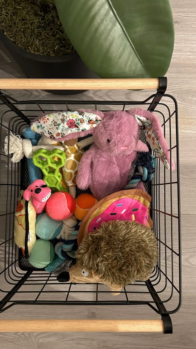 a basket filled with stuffed animals sitting on top of a wooden floor next to a potted plant