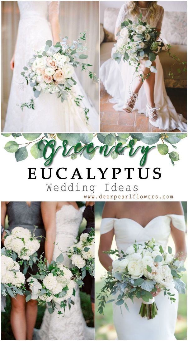 wedding bouquets with white flowers and greenery are the perfect way to decorate your bridal