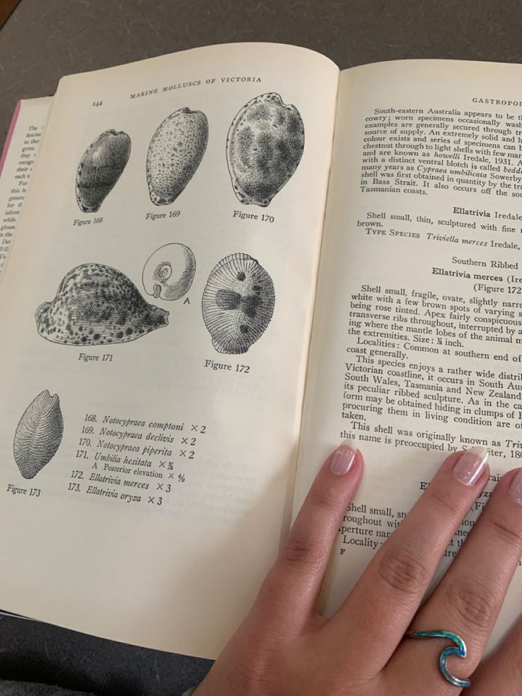 a woman's hand holding an open book with pictures of seashells on it