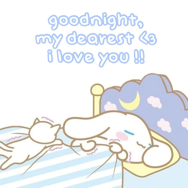 a cat and dog sleeping in bed with the caption goodnight my dearest 6 i love you