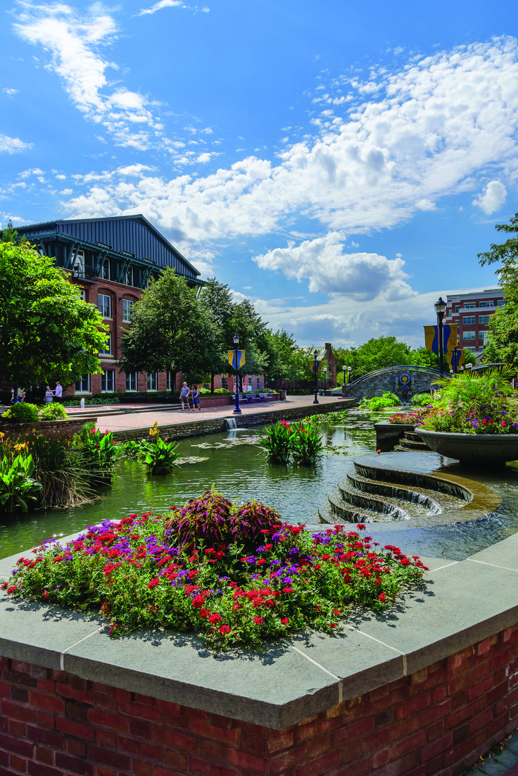 flowers are growing in the middle of a small pond with people walking by on either side