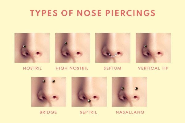 there are different types of nose piercings on this page, and each one has an individual's nose