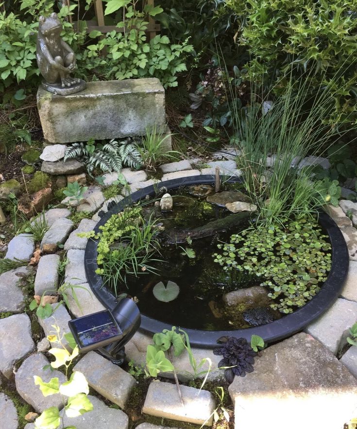 a small pond surrounded by rocks and plants