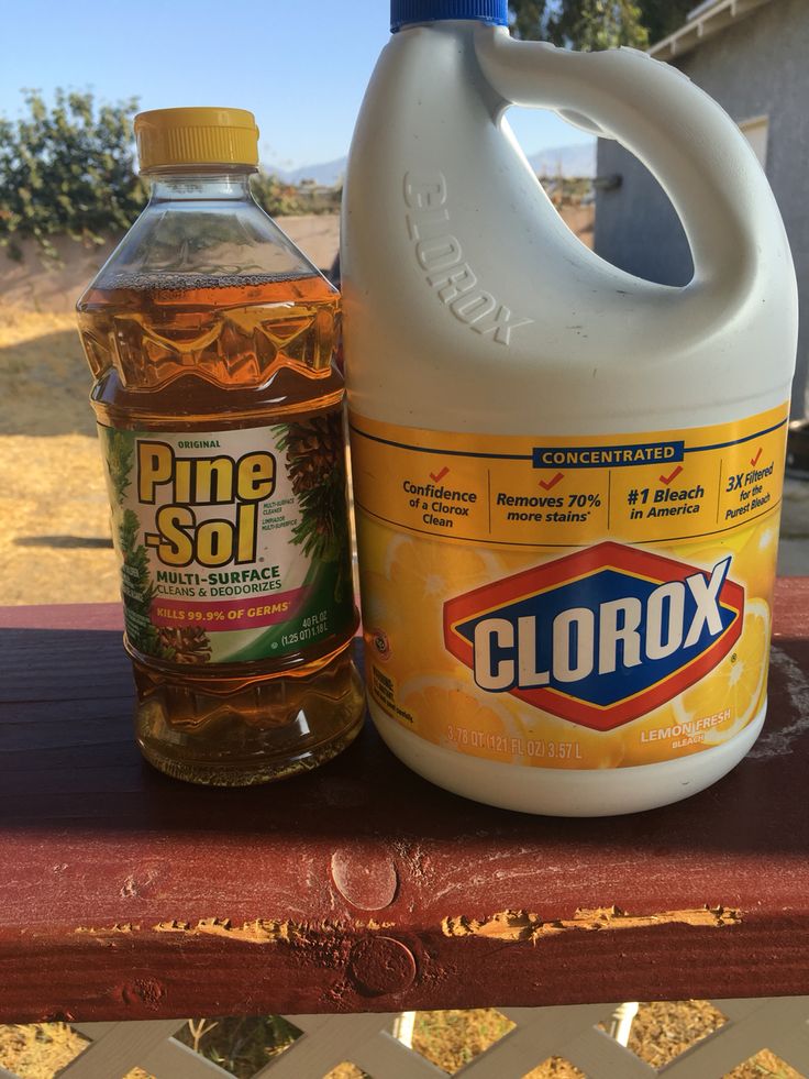 a bottle of clorox sits next to a gallon of pine syrup on a bench