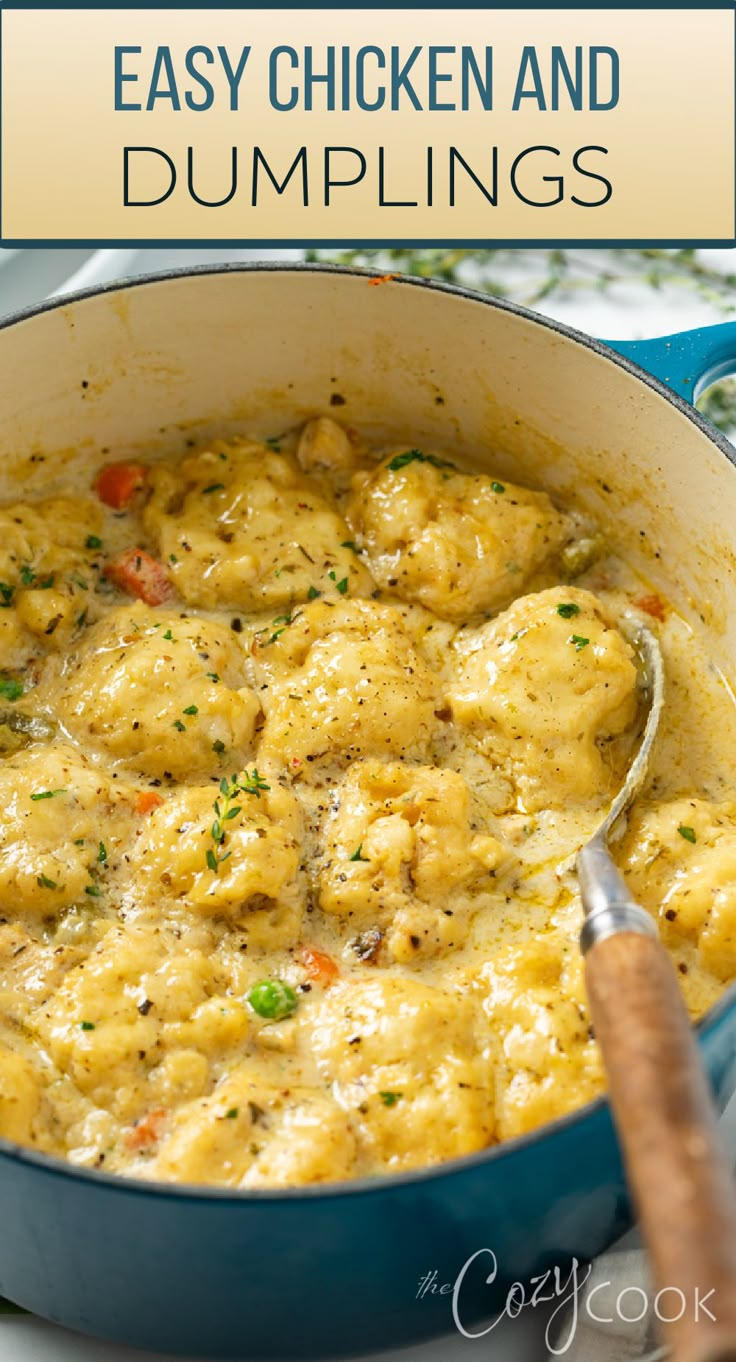 chicken and dumplings in a pot, in homemade chicken soup Chicken And Dumping Recipes, Chicken And Dumplin Recipe, Easy Chicken Dumpling Recipes, Dumplin Recipe, Best Chicken And Dumplings, Chicken Dumpling Soup, Chicken Dumplings Recipe, Chicken And Dumplings Recipe, Cozy Cook