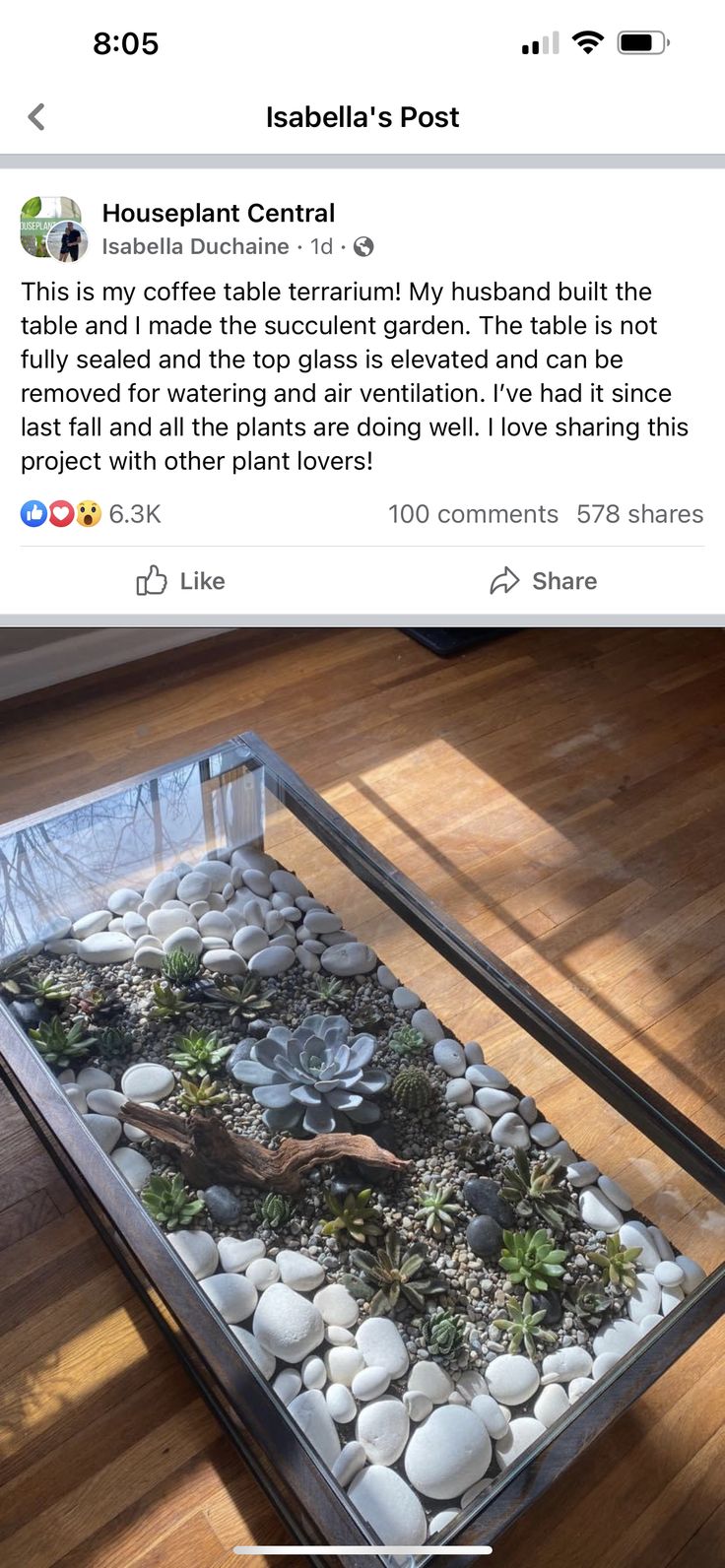 a glass table with rocks and plants in it on top of a wooden floor next to a window