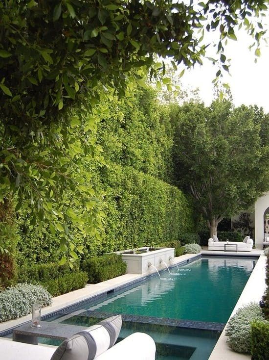 an outdoor swimming pool surrounded by greenery and white couches in front of it