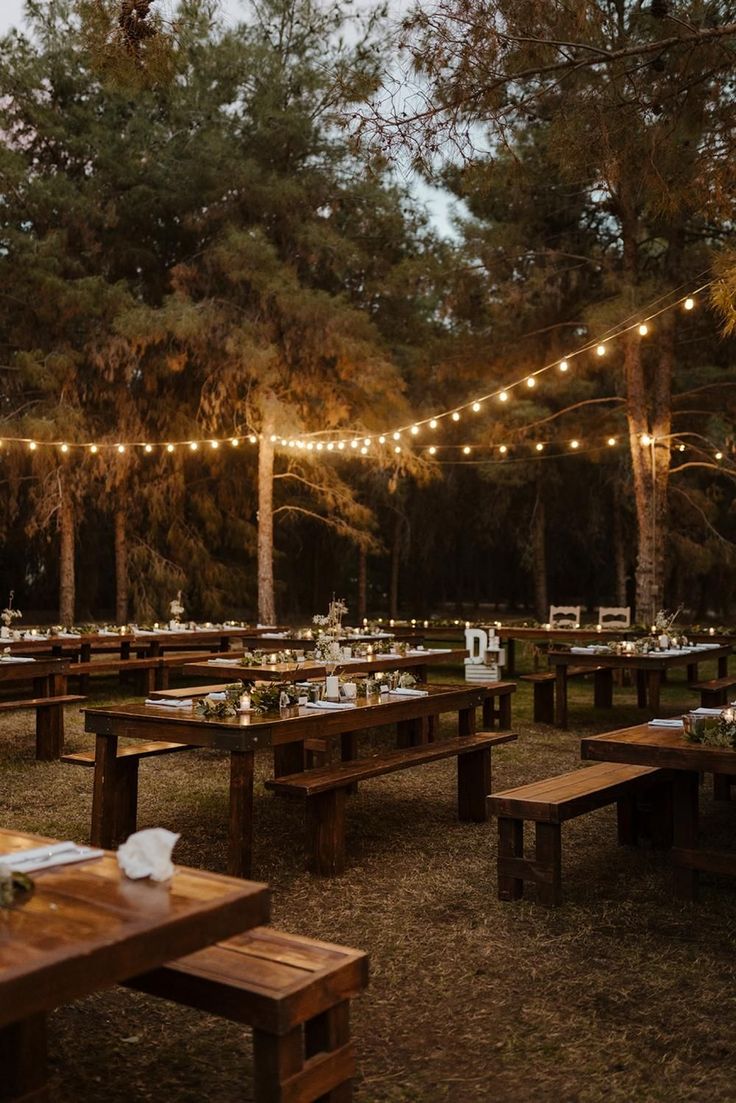 an outdoor dining area with wooden tables and lights strung from the trees over it, surrounded by wood benches