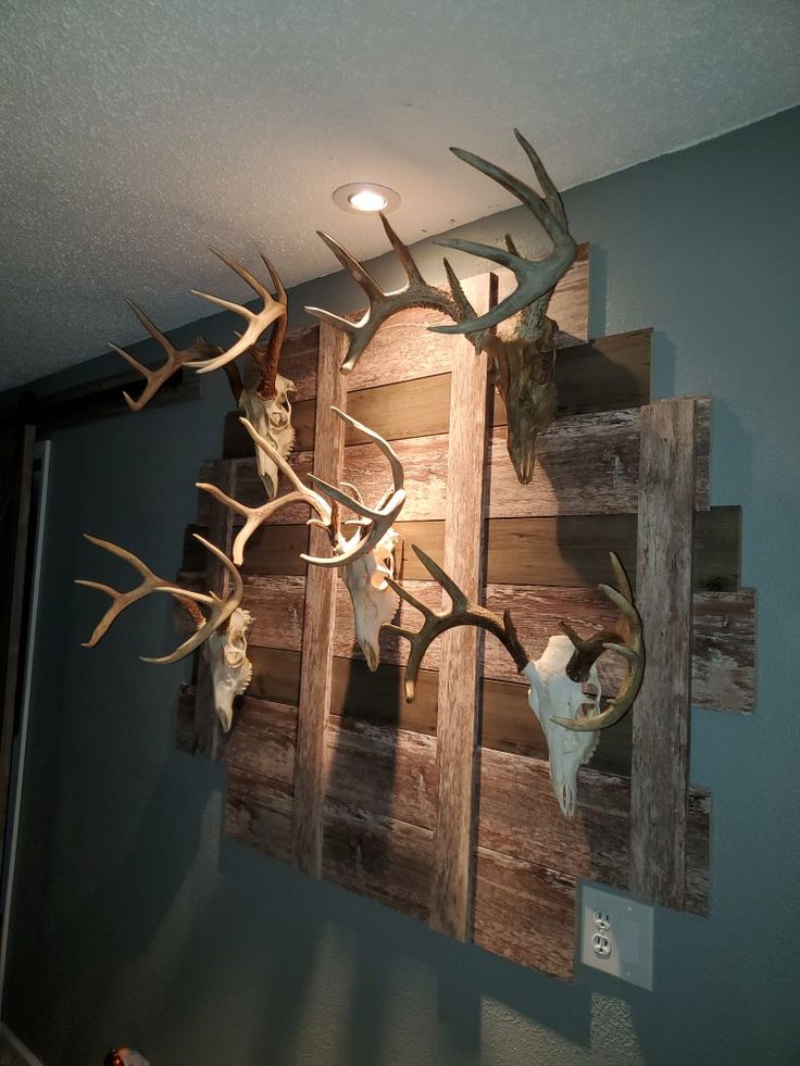 several deer heads mounted to the side of a wall