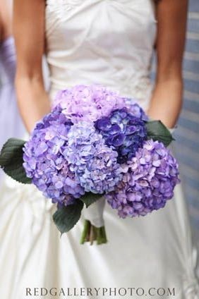 a bride holding a bouquet of purple flowers