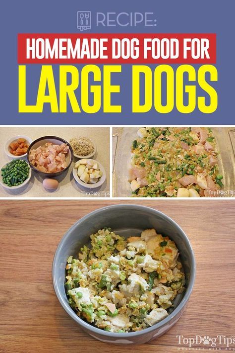 homemade dog food for large dogs is shown in this collage with the words, homemade dog food for large dogs