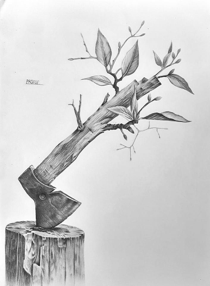 a pencil drawing of a tree branch with a hat on it's head sitting on top of a stump