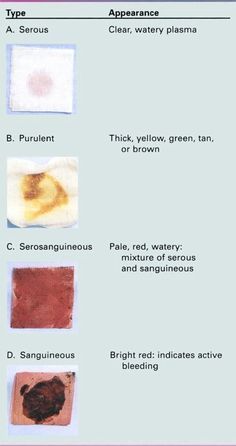 the different types of pigments used in painting and drawing are shown on this page