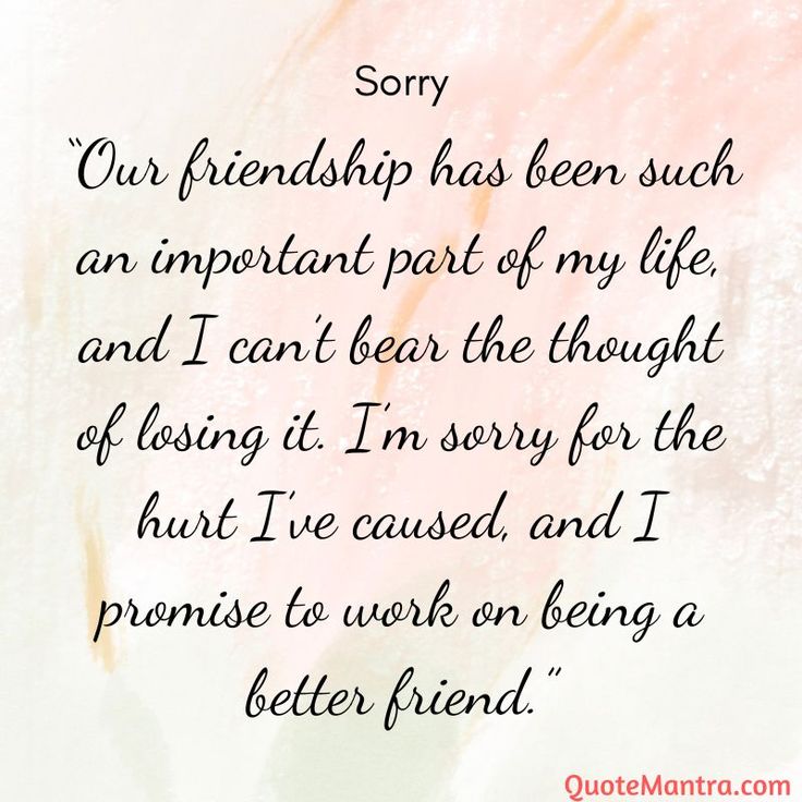 a quote from a friend that says sorry our friends has been such an important part of my life and i can't bear the thought of losing it