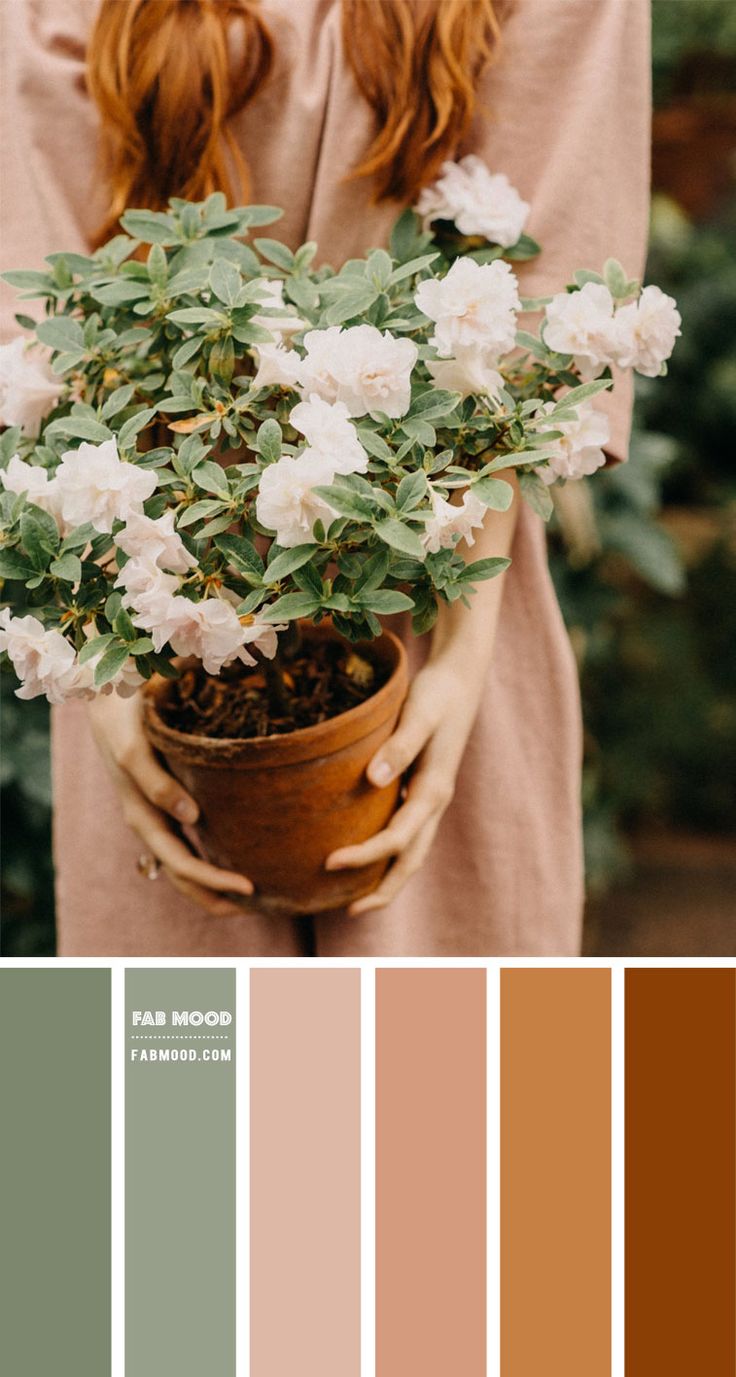 a woman holding a potted plant with white flowers