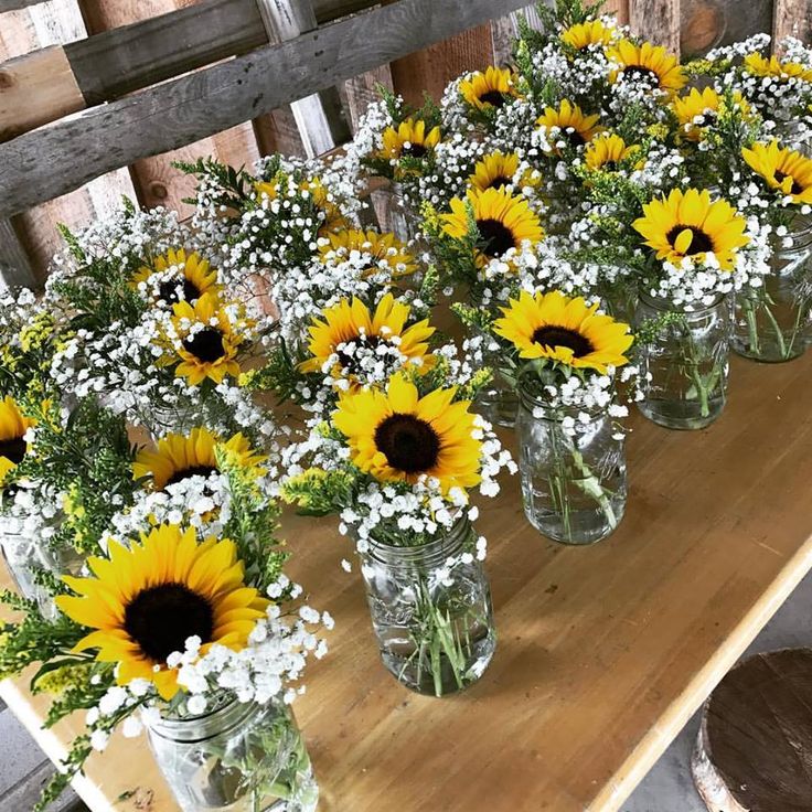 sunflowers and baby's breath are arranged in mason jars on a table