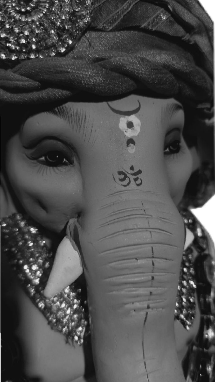 black and white photograph of an elephant's head with the word ganesh written on it