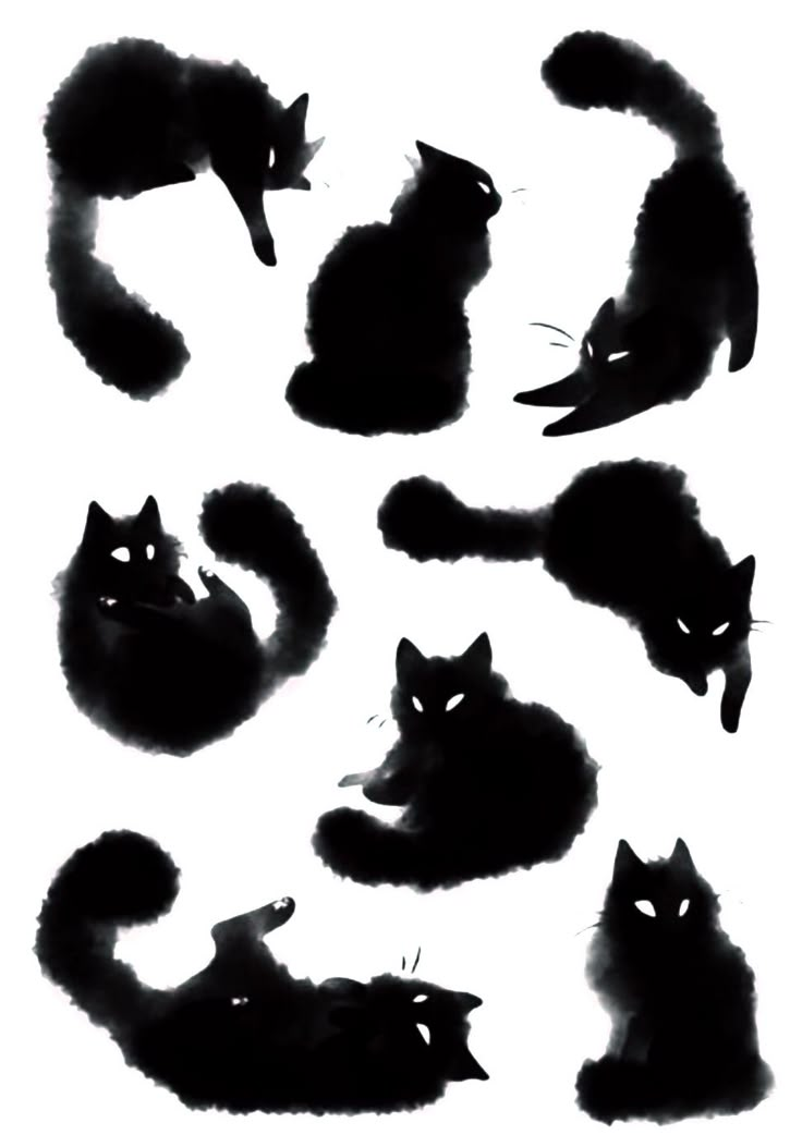 the silhouettes of cats are shown in black and white