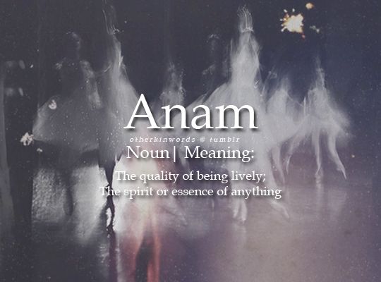 an image of people dancing in the dark with words above them that read anam