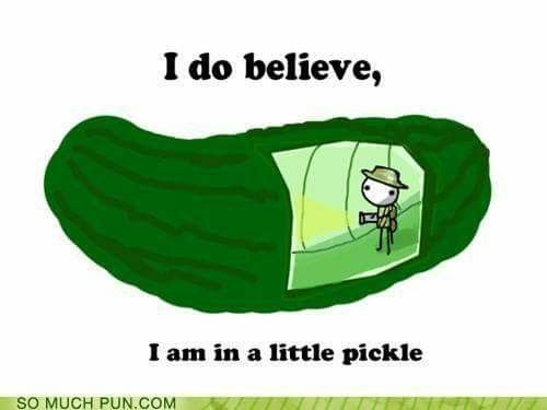 an image of a cartoon character in a pickle with the caption i do believe, i am in a little pickle