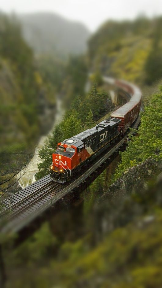 a train traveling through a lush green forest next to a river and mountain covered in fog