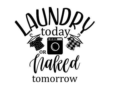 laundry today or naked tomorrow with an image of a camera and checkered scarfs