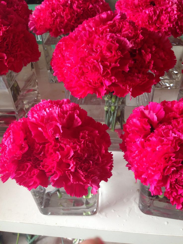 several clear vases filled with red flowers on a counter top in front of other glass vases