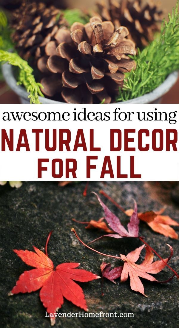 some pine cones and leaves on the ground with text overlay that says, awesome ideas for using natural decor for fall