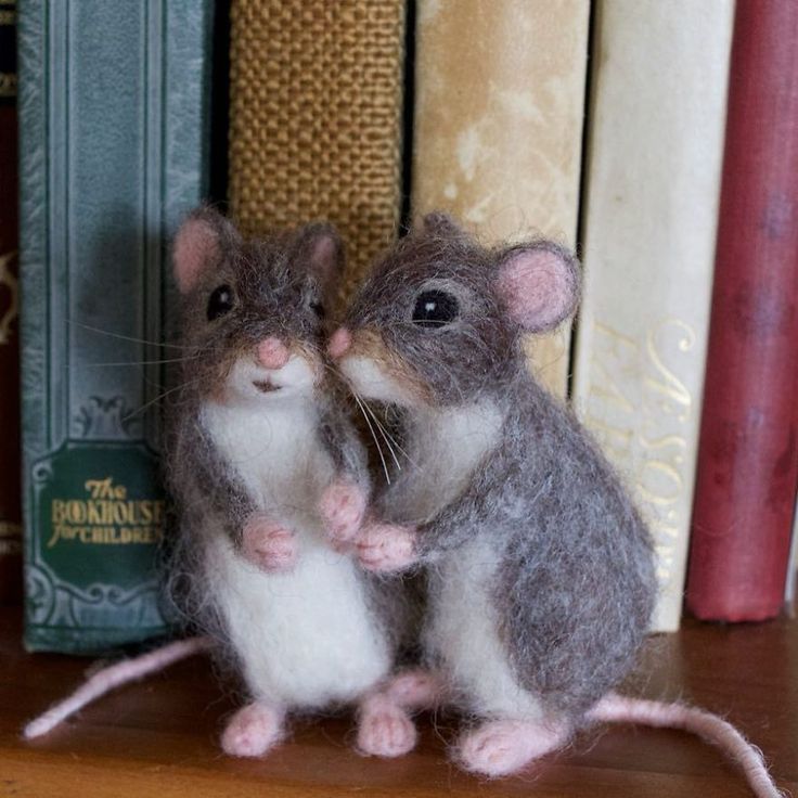 two stuffed mice sitting next to each other on a book shelf with books in the background