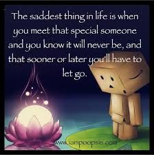 the saddest thing in life is when you meet that special someone and you know it will never be, and that soon or later you'll have to let you have to let go