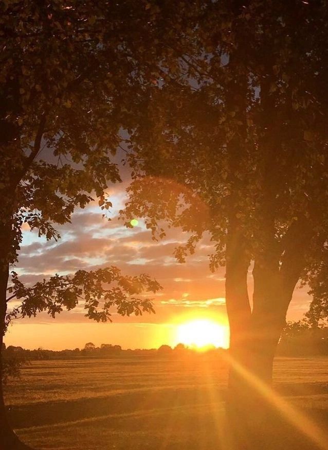 the sun is setting behind some trees