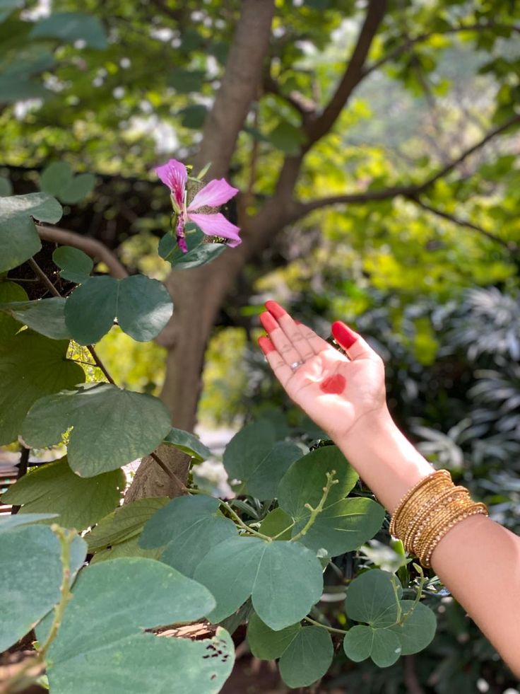 a woman's hand reaching for a pink flower in the air with green leaves around her