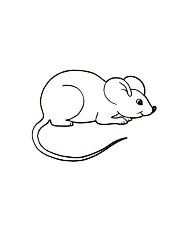 a drawing of a mouse on a white background