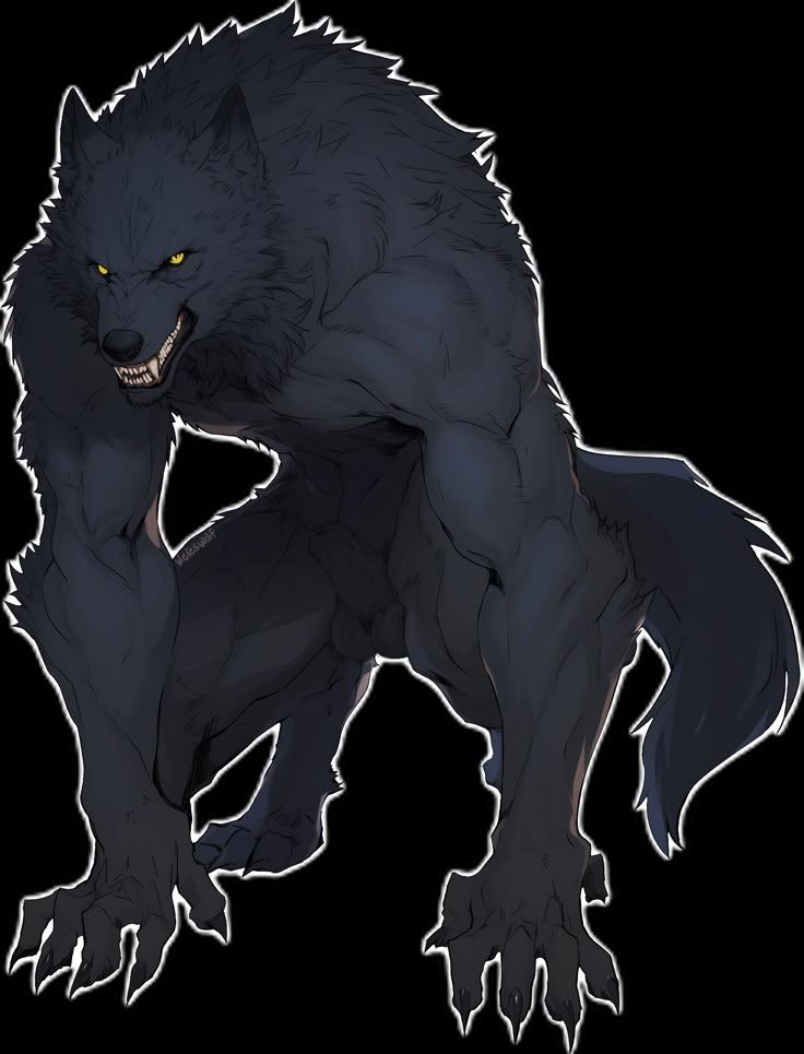 a black wolf with yellow eyes is standing on one leg and looking at the camera