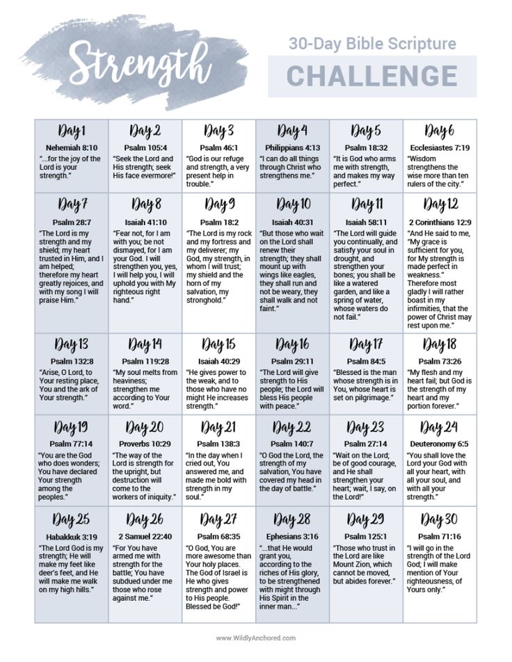 the 30 - day bible schedule for strength challenge