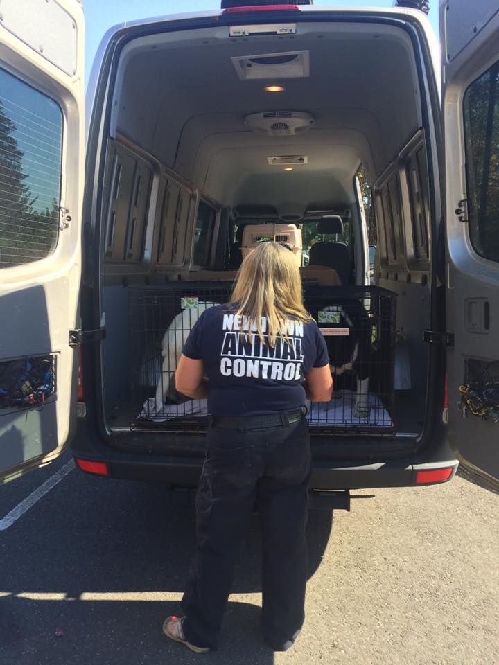 a woman standing in the back of a van