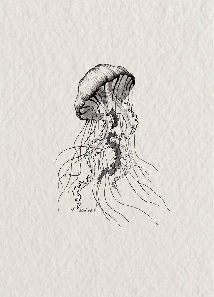 a black and white drawing of a jellyfish