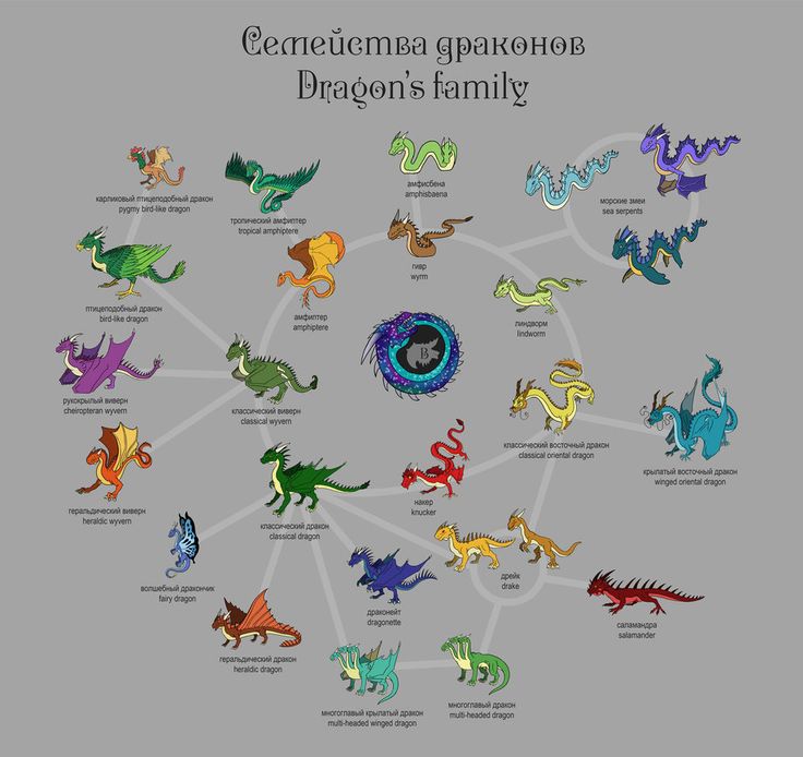 a diagram with different types of dragon's family