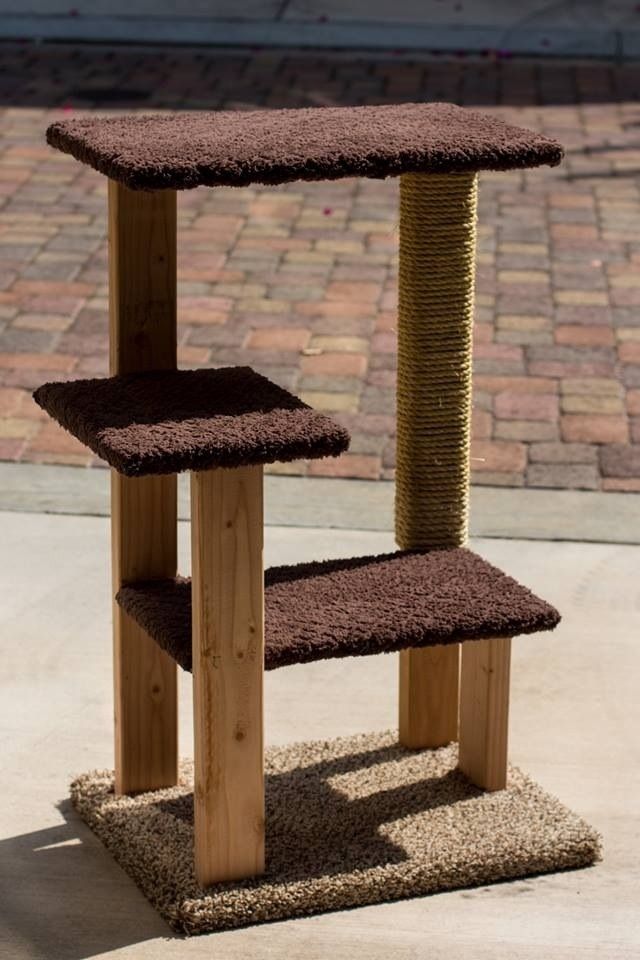 a cat tree that is on the sidewalk