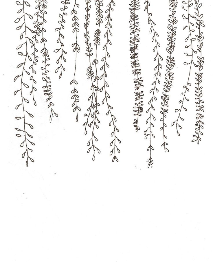 some plants that are hanging from the side of a white wall with black ink on it